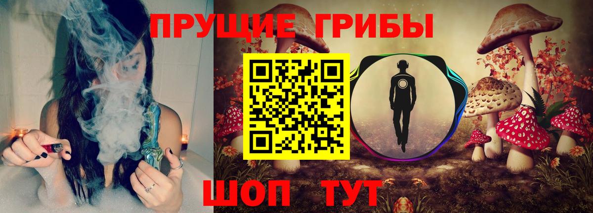 Псилоцибиновые грибы GOLDEN TEACHER Красноуфимск